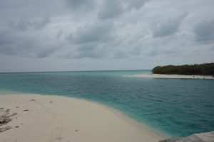 DSC05321