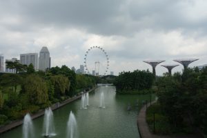 DSC06242