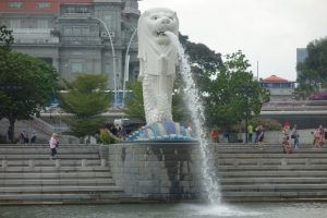 DSC06253