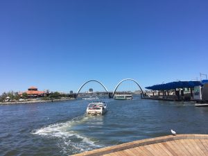 IMG_4786