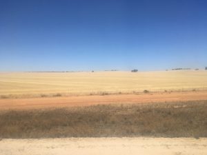 IMG_9010